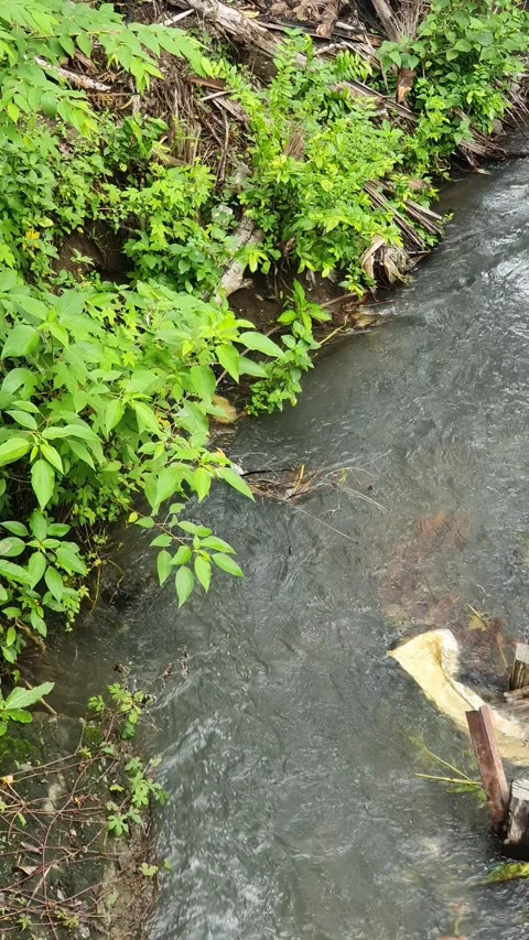 View of the river current seen from above Stock Footage 330403478