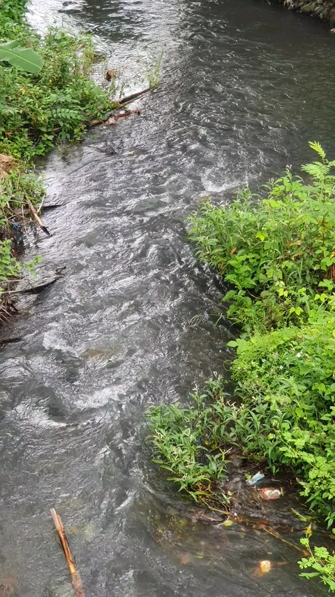 View of the river current seen from above Video stock 330404307