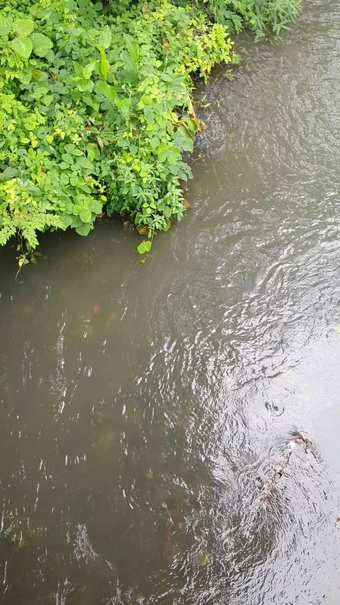 View of the river current seen from above Stock Footage 330404491
