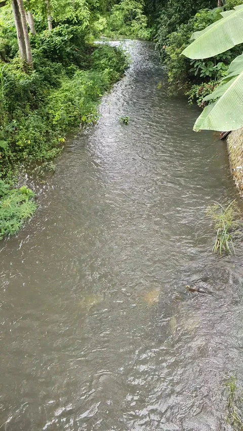 View of the river current seen from above Video stock 330409272