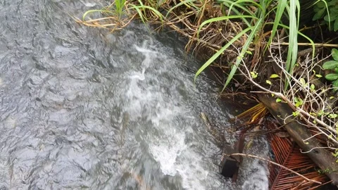 View of the river current seen from above Stock Footage 330409495