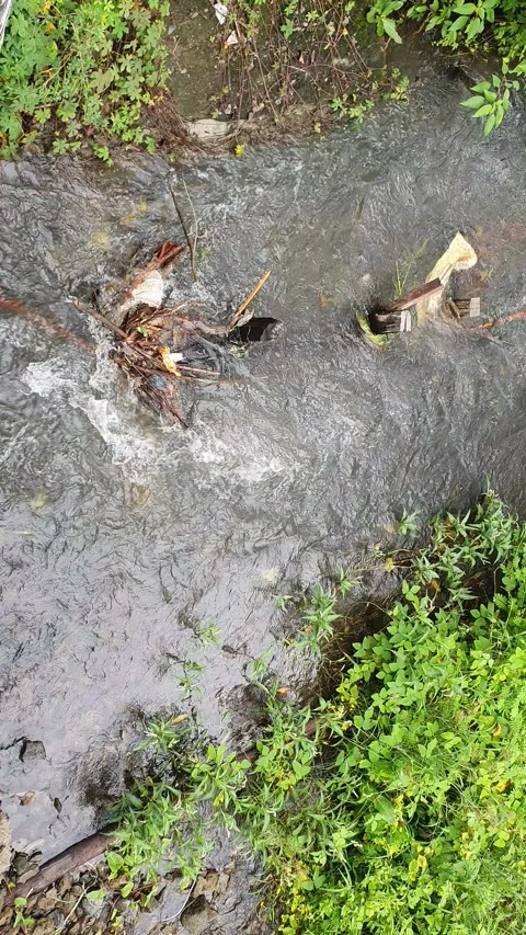 View of the river current seen from above Stock Footage 330409750