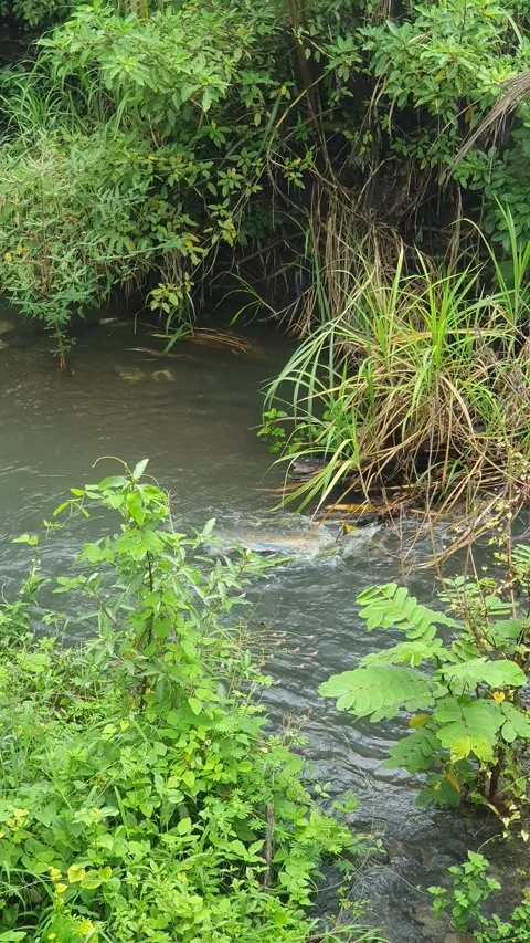 View of the river current seen from above Stock Footage 330409781