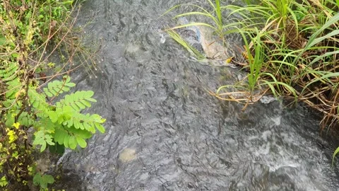 View of the river current seen from above Stock Footage 330412326