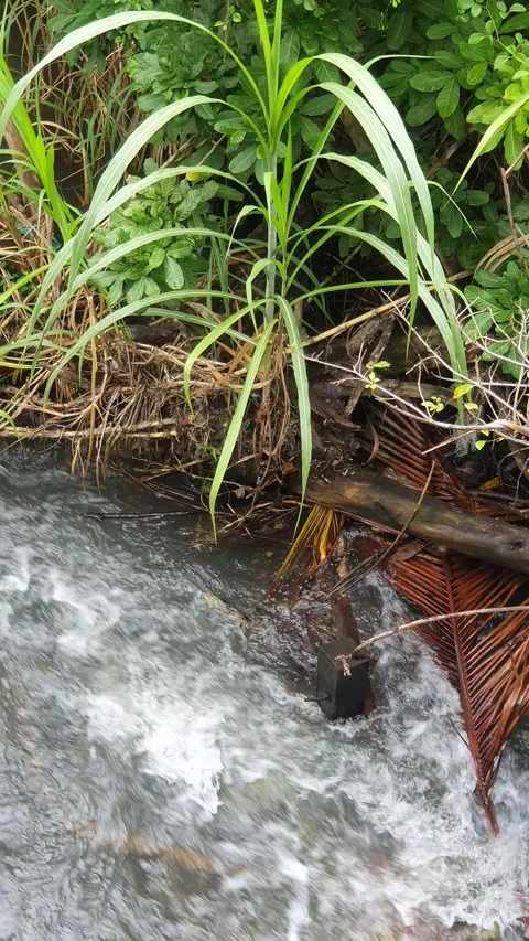 View of the river current seen from above Stock Footage 330412649
