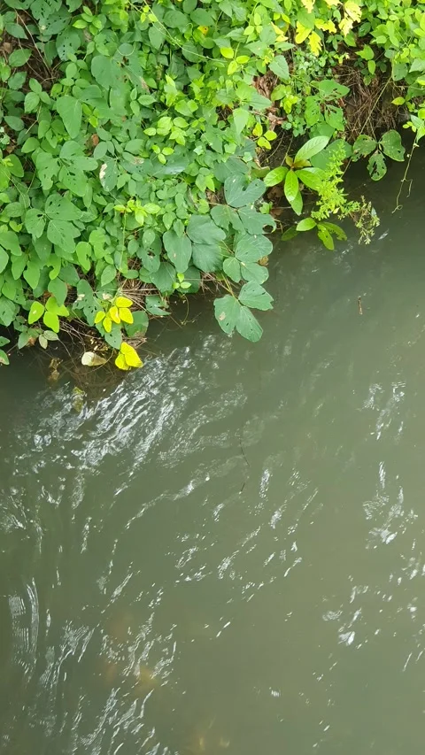 View of the river current seen from above Stock Footage 330412671