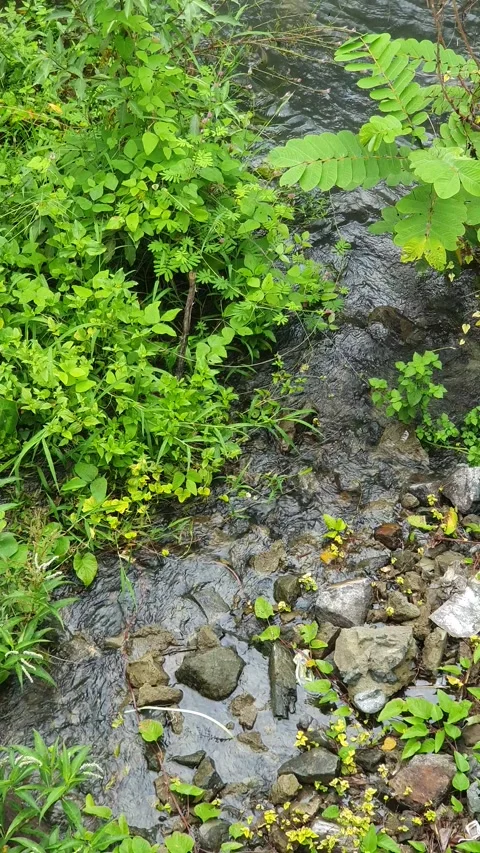 View of the river current seen from above Video stock 330412973