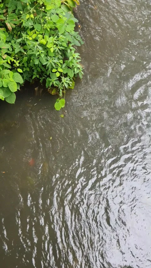 View of the river current seen from above Stock Footage 330412975