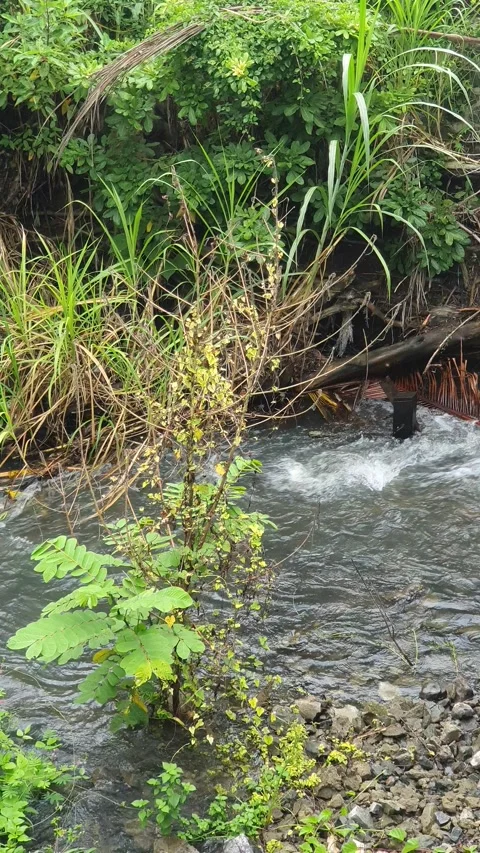 View of the river current seen from above Stock Footage 330413069
