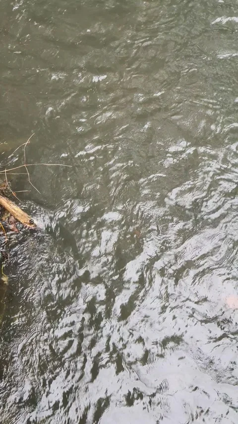 View of the river current seen from above Stock Footage 330413353