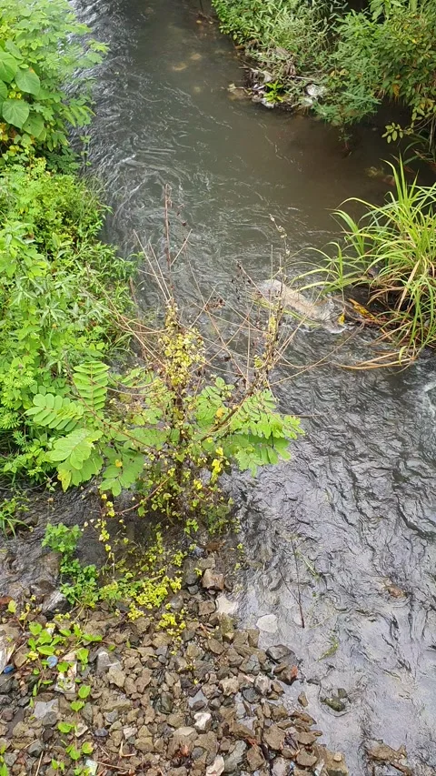 View of the river current seen from above Stock Footage 330413609