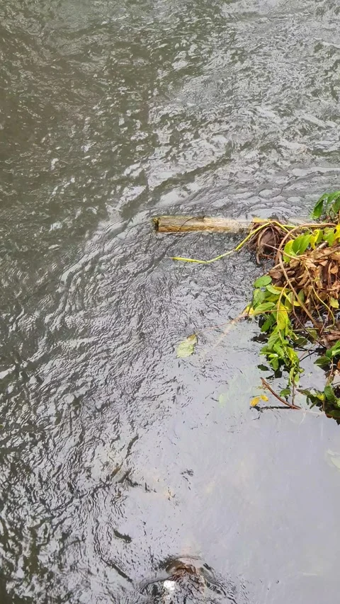 View of the river current seen from above Stock Footage 330413616