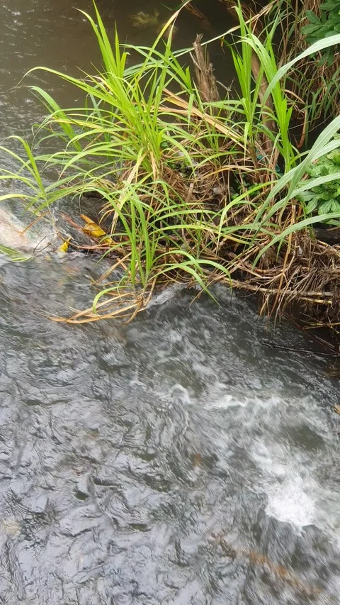 View of the river current seen from above Stock Footage 330413662