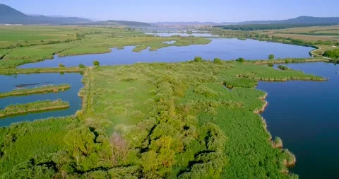  view of the river delta Stock Footage 152662834