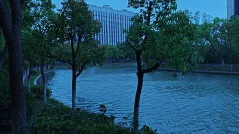 View of the River during Blue Hour Video stock 333194759