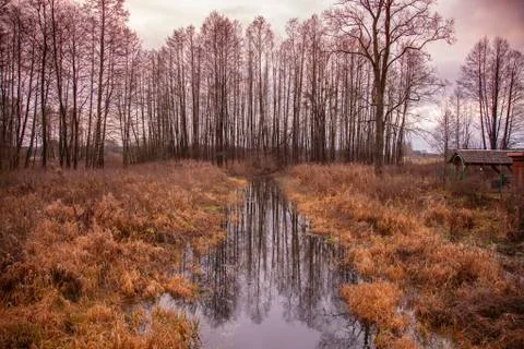 View of the river during snowless winter Stock Photos
