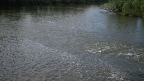 View of a river during the summer with trees blue sky and clouds Video stock 132348835