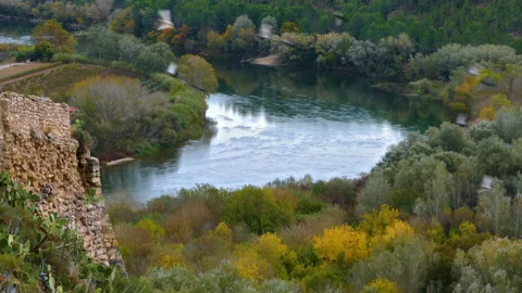 View of the river Ebro with some doves flying by. Stock Footage 221932100