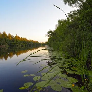 View of the river in the evening Stock Photos