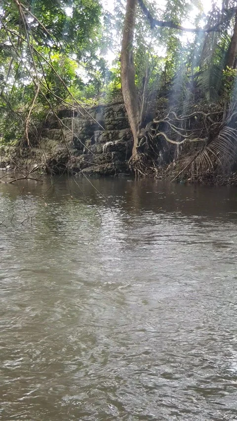 View of the river flowing and its trees Stock Footage 330453093