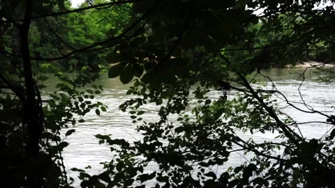View of a river flowing from behind the foliage. Stock Footage 155566582