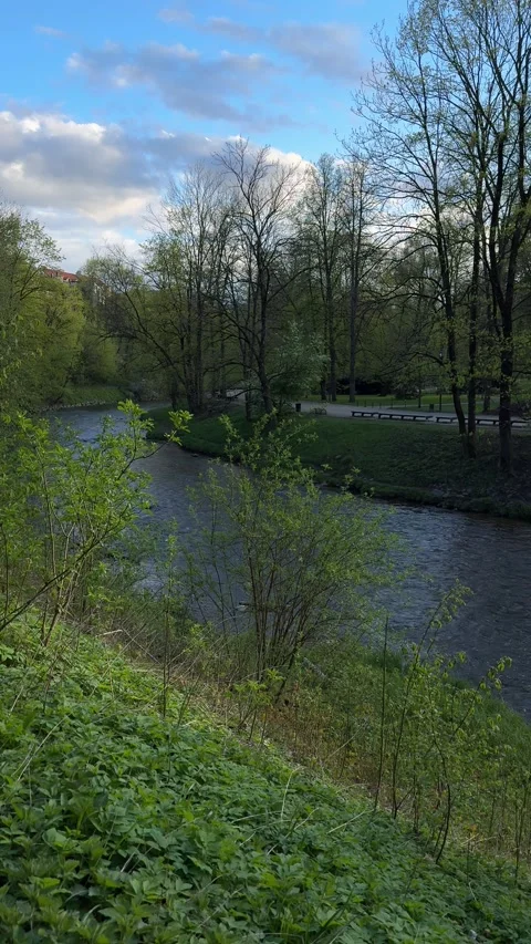 View of river flowing in Bernardine Garden in spring in Vilnius. Vertical Stock Footage 273148448