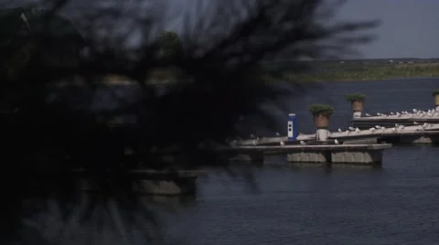 View of the river Stock Footage 41090362