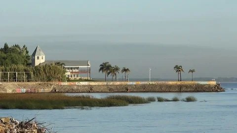 View of the river Video stock 77849414