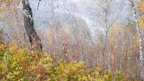 The view on the river Stock Footage 81035774