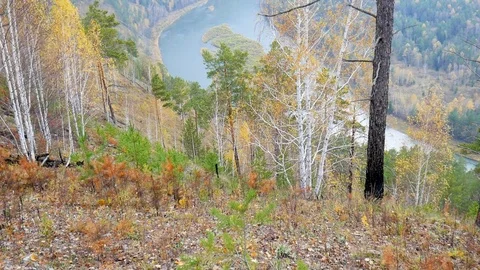 The view on the river Stock Footage 81038416