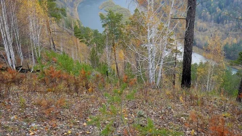 The view on the river Stock Footage 81915869