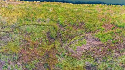 A view of a river Stock Footage 129270537