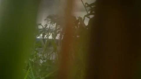 View on the river Stock Footage 169455258