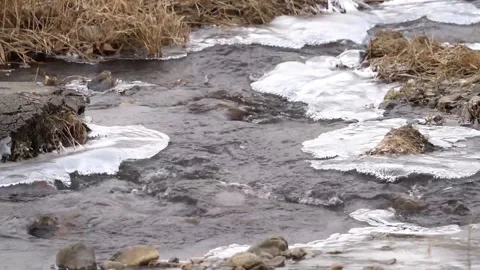 The view of the river Stock Footage 233353194