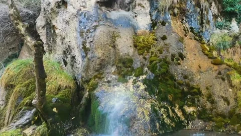 View of the river Stock Footage 234730687