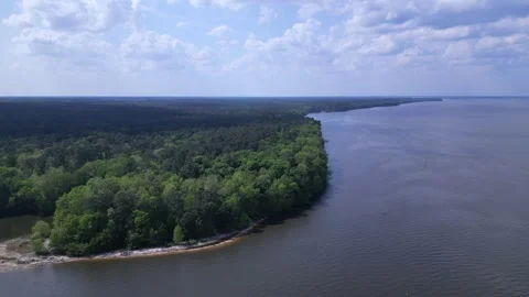 View from the river Stock Footage 248112282