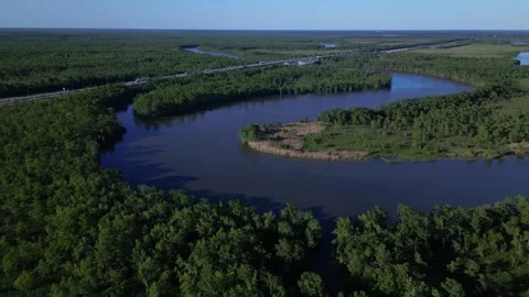 View of the river Stock Footage 248114438