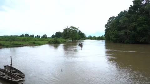 View of a river Vídeo Stock 258812021