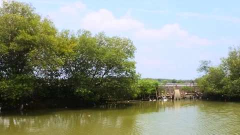 View of the river Stock Footage 300928180