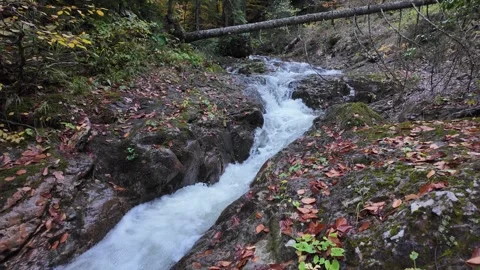 The view of the river Stock Footage 325854972