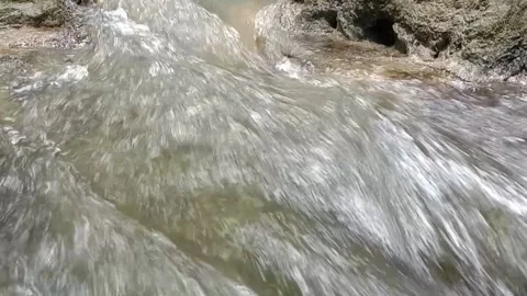 View of the river in the forest Stock Footage 236839460