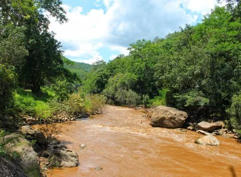 View of river in the forest Stock Photos