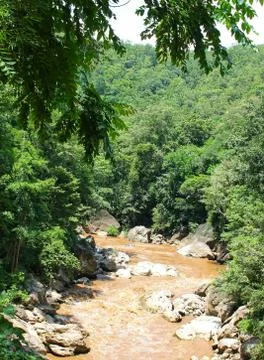 View of river in the forest Stock Photos