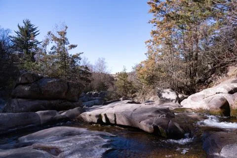 View of a river full of rocks and surrounded by trees Stock Photos