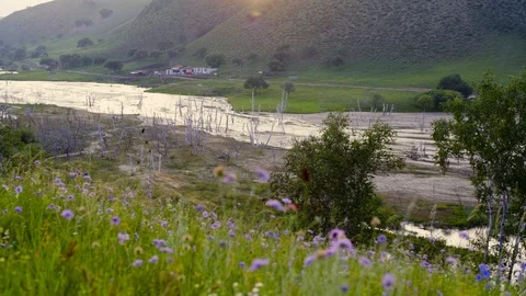 A view of a river in grass land 動画素材 93219271