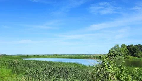 View of river with green trees and plants under clear blue sky. Stock Photos