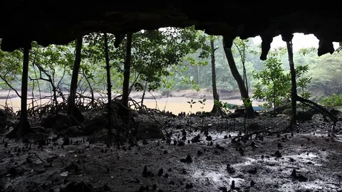 View of River from inside wet cave Stock Footage 104418475