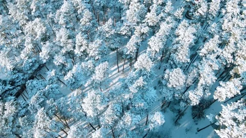 View of the river landscape after a snowfall Stock Footage 260847324