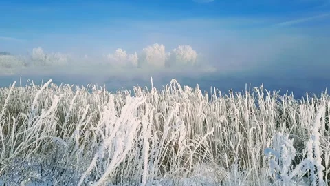 View of the river landscape after a snowfall Stock Footage 260847420