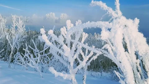 View of the river landscape after a snowfall Stock Footage 260848414